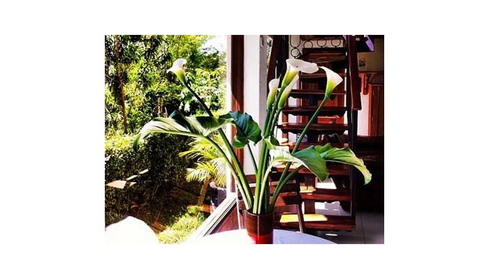 Hotel Campestre El Pozzo poza 10