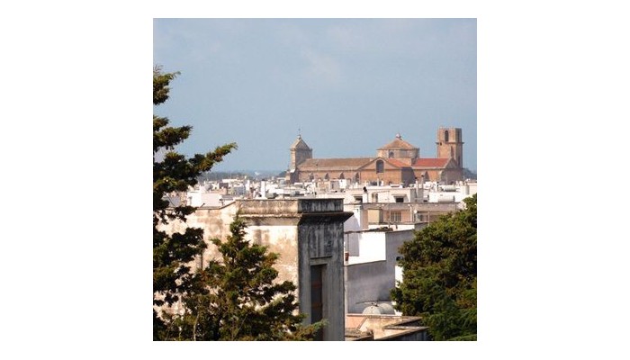 Hotel Albatres Palace poza 11