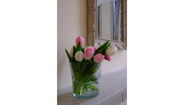 Poza pentru Hotel Braamberg Bed & Breakfast 1226-1567112960 Hotel Braamberg Bed & Breakfast poza 2