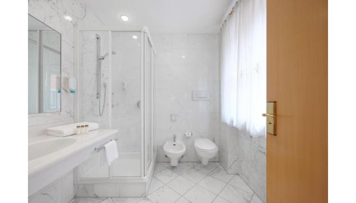 Hotel Goldene Rose poza 6