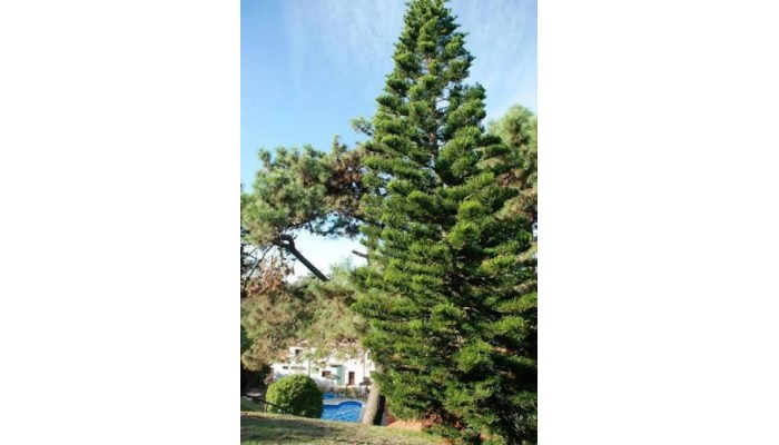 Hotel Bella Vista poza 7