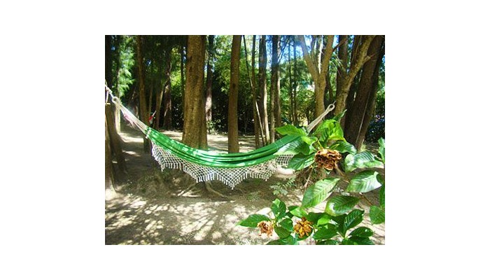 Hotel Bosque De Bohemia Hosteria & Restaurante poza 6