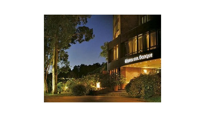 Hotel Del Bosque poza 2