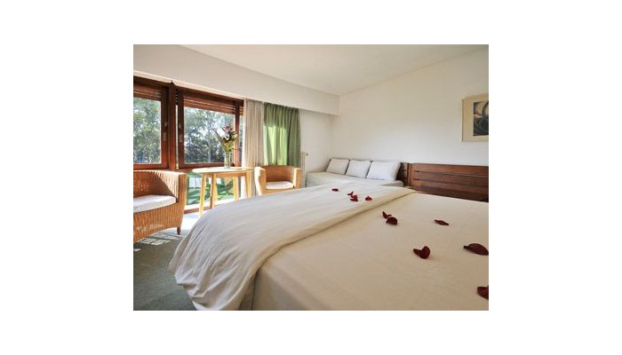 Hotel Del Bosque poza 10