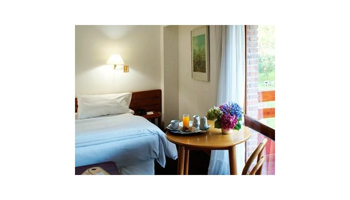 Hotel Del Bosque poza 4