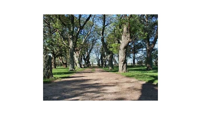 Hotel El Paraiso Polo Y Naturaleza poza 0