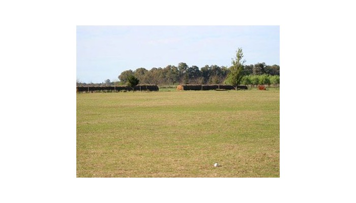 Hotel El Paraiso Polo Y Naturaleza poza 3