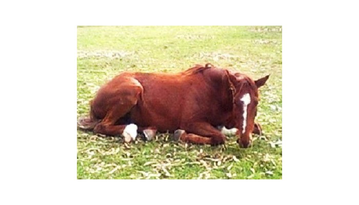 Hotel Estancia La Morena poza 3