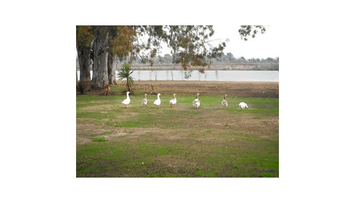 Hotel Howard Johnson Ezeiza poza 6