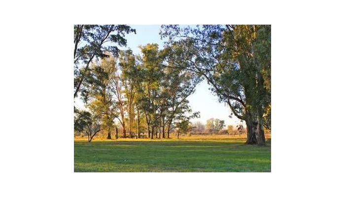 Hotel Howard Johnson Ezeiza poza 5