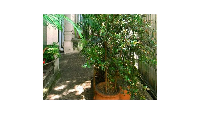 Hotel Posada De San Isidro poza 8