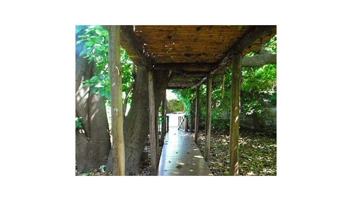 Hotel Posada De San Isidro poza 10