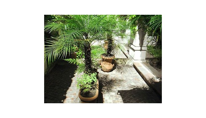 Hotel Posada De San Isidro poza 9