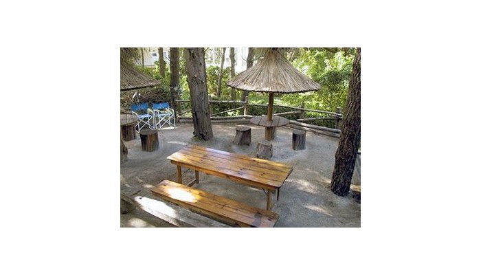 Hotel Posada Del Bosque Carila poza 11