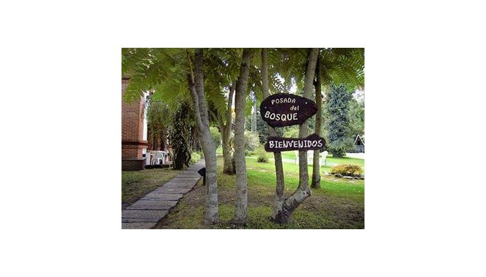 Hotel Posada Del Bosque Carila poza 4