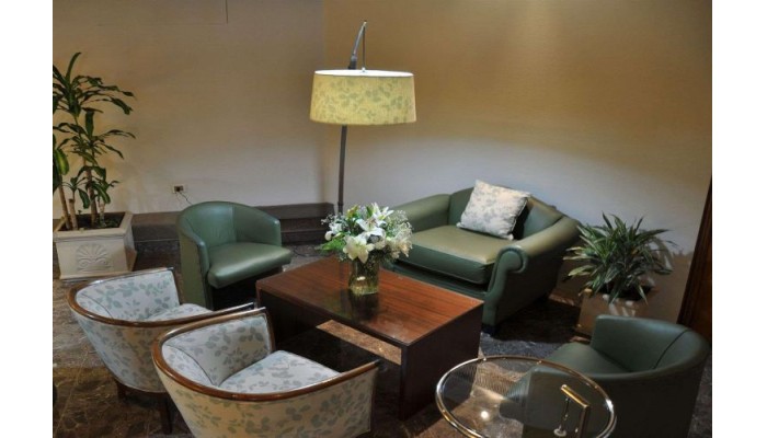 Hotel Solans Carlton poza 2