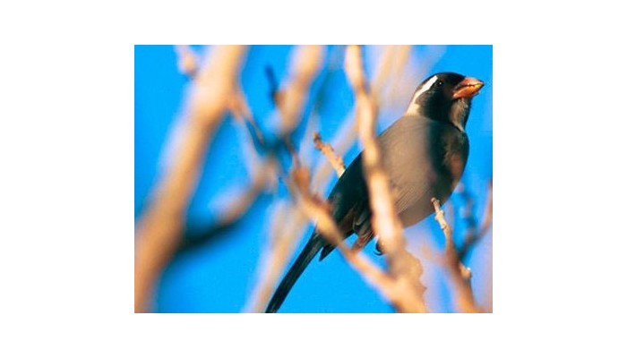 Hotel Spa Villa De Merlo poza 3