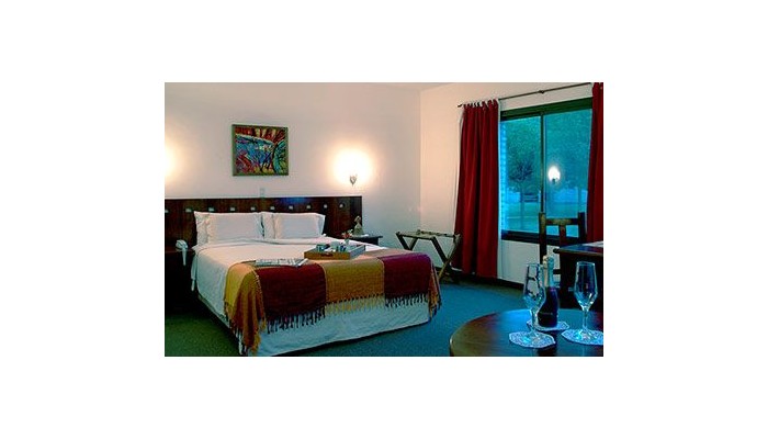 Hotel Spa Villa De Merlo poza 1