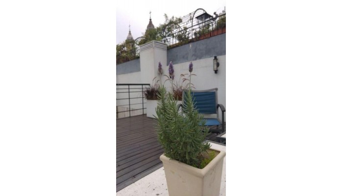 Hotel Telmho Boutique poza 2