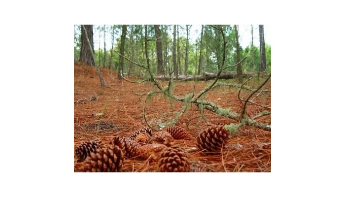 Howard Johnson Hotel And Convention Center Carilo poza 0