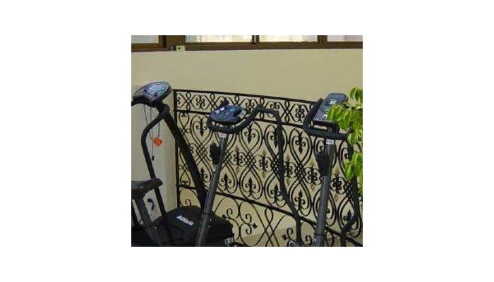 Mansion Dandi Royal Boutique Hotel poza 0