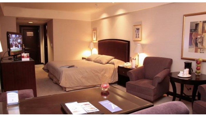 Melia Buenos Aires Hotel & Convention Center poza 11