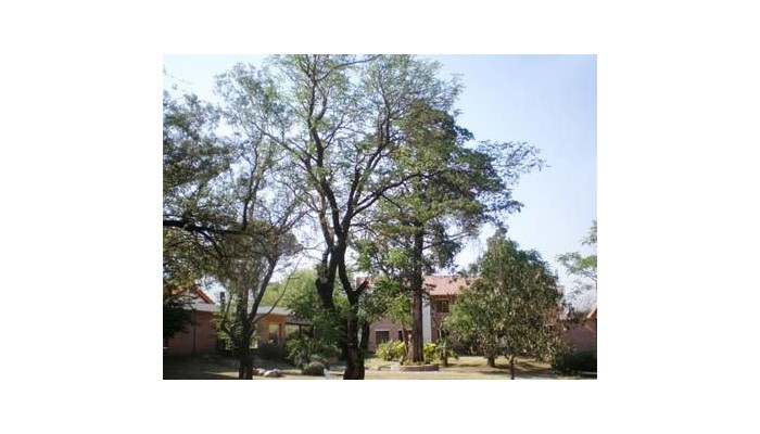 Paradiso Hotel And Spa poza 5