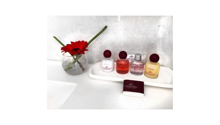 Purobaires Hotel Boutique poza 0