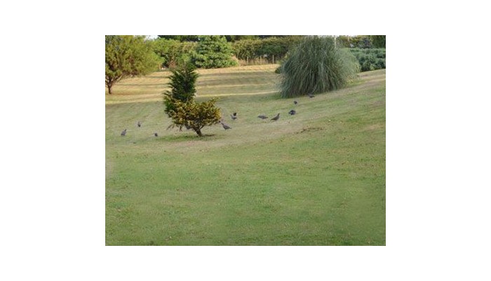 Soho Village Hotel Tandil poza 2