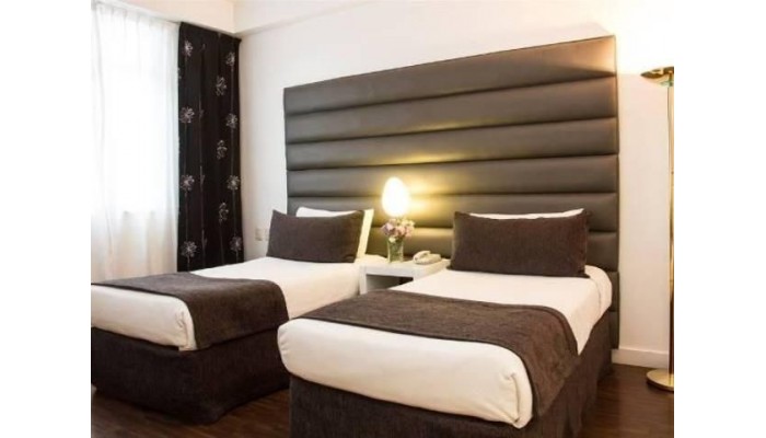 Unique Art Elegance Hotel - Non Refundable Room poza 7