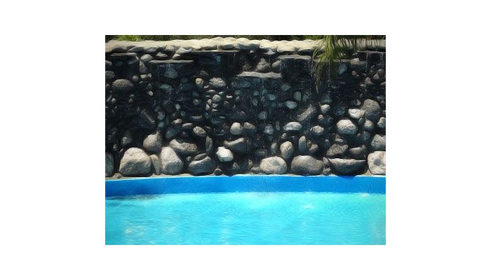 Virginia Palace Hotel & Spa poza 0