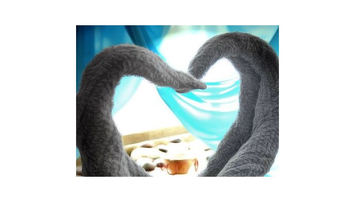 Virginia Palace Hotel & Spa poza 3