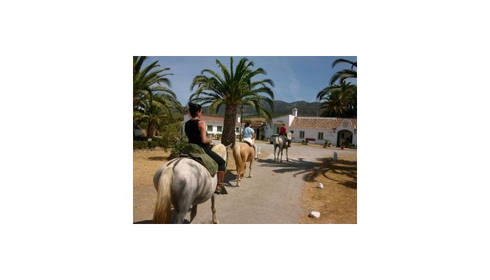 Cortijo Las Piaas Aparthotel poza 4