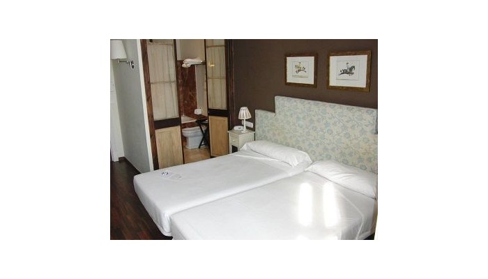 Hotel Boutique Bellas Artes poza 2