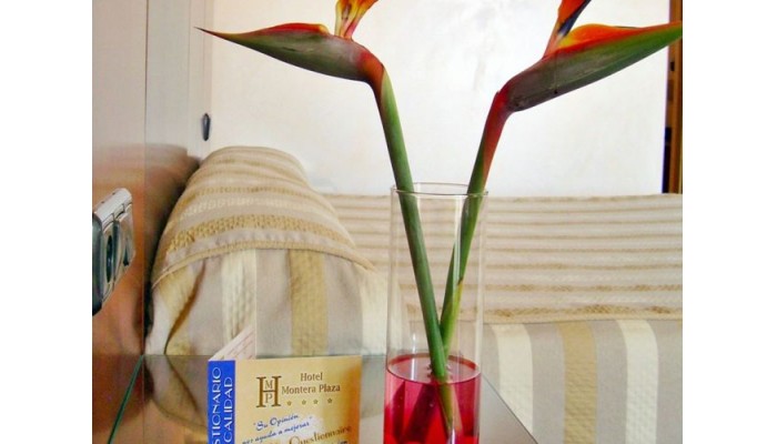 Hotel Montera Plaza poza 6