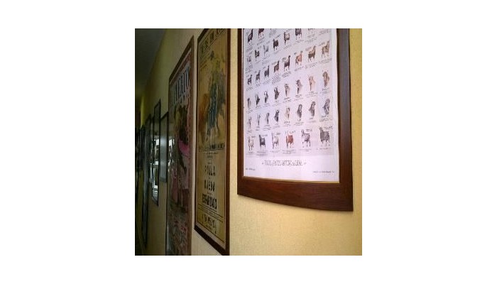 Hotel Nova Centro poza 10