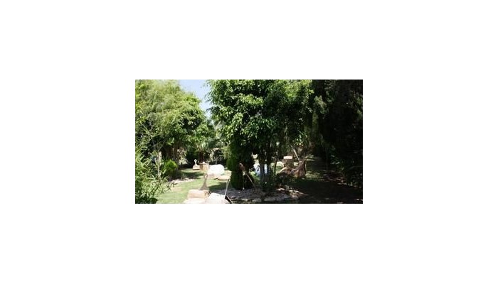 Hotel Restaurante La Torre poza 6