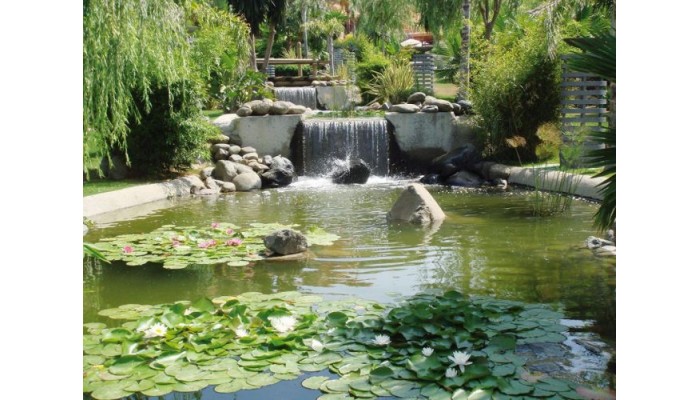 Novo Resort The Residence Lux poza 1