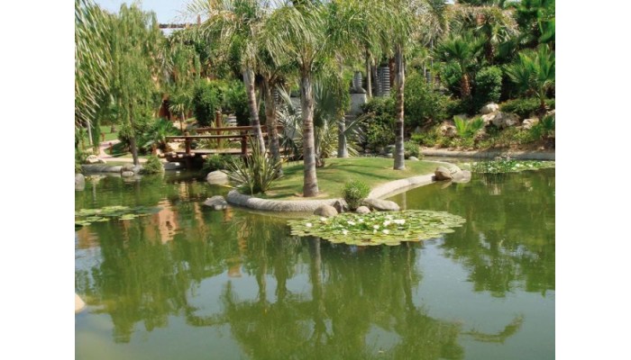 Novo Resort The Residence Lux poza 3