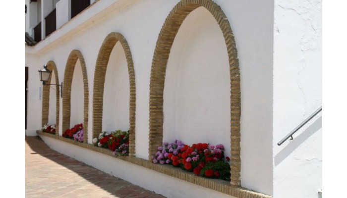 Villa De Algar poza 0