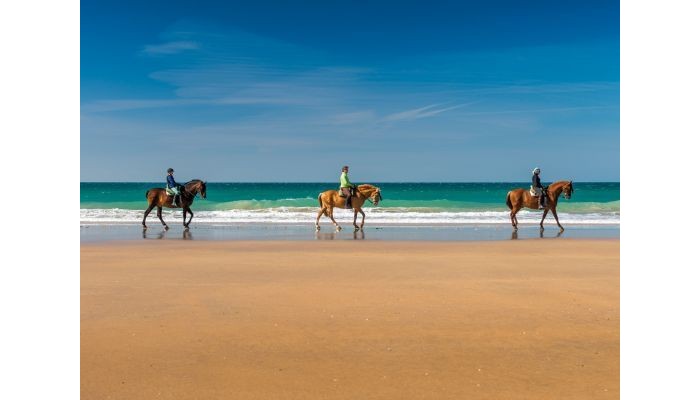 Hotel Fuerte Conil- Costa Luz poza 23