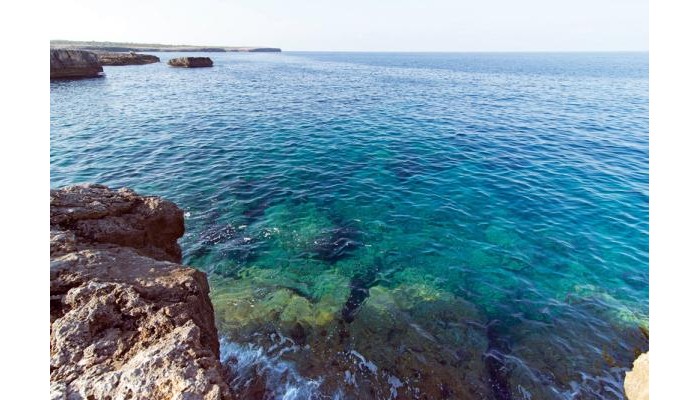 Hotel Apartamentos Cala Blanca poza 7