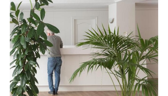 Hotel Ibb Paradis Blau poza 9