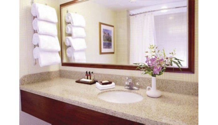 Poza pentru Calgary Marriott Hotel 960-1454444914 Calgary Marriott Hotel poza 3