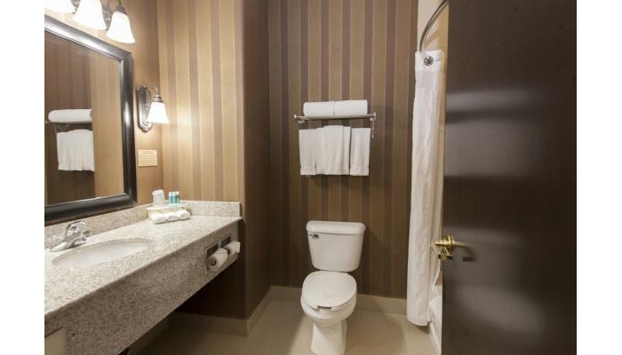 Poza pentru Holiday Inn Express Hotel And Suites Airport - Calgary 3280-1565830890 Holiday Inn Express Hotel And Suites Airport - Calgary poza 8