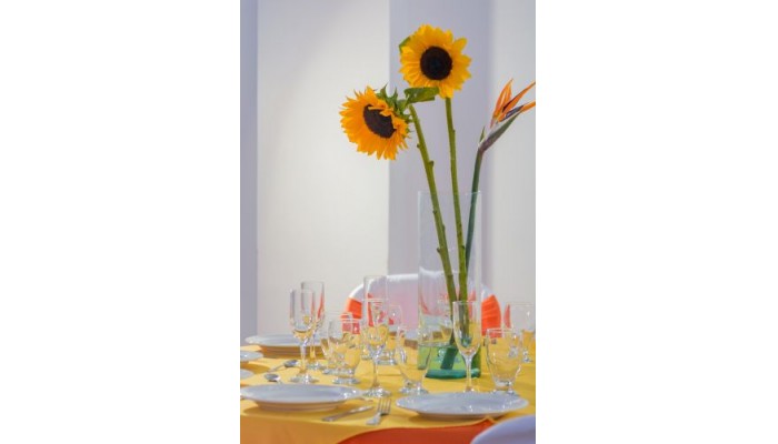 Hotel La Luna poza 5