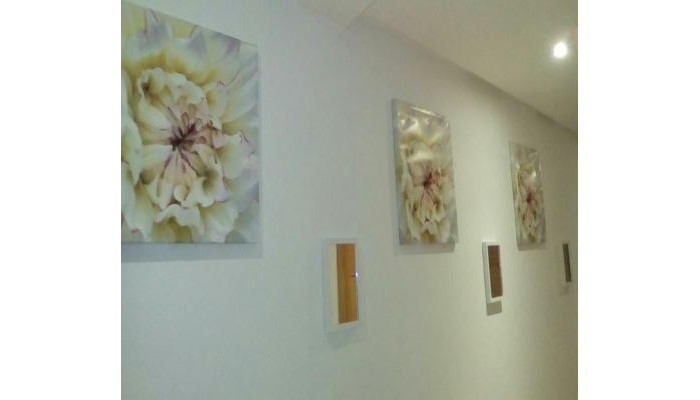 Hotel Appartement Les Perles poza 5