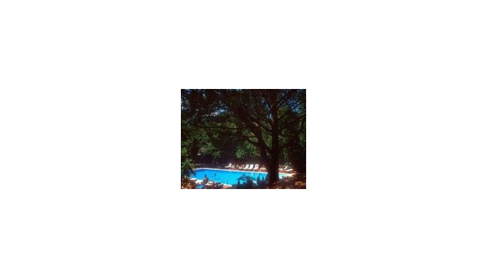 Hotel Alberi Del Paradiso poza 7