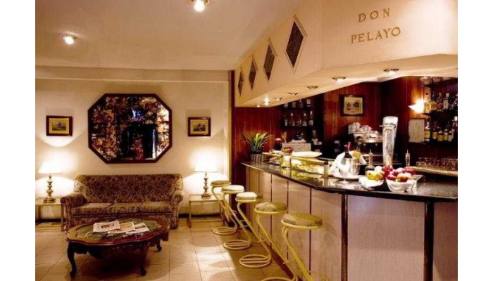 Asturias Hotel poza 0