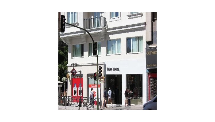 Dear Hotel Madrid poza 10